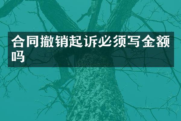 合同撤销起诉必须写金额吗