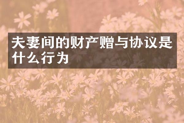 夫妻间的财产赠与协议是什么行为