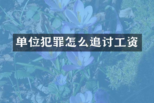 单位犯罪怎么追讨工资