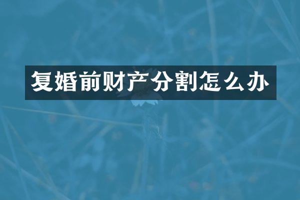 复婚前财产分割怎么办