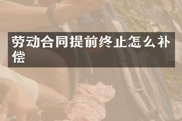 劳动合同提前终止怎么补偿