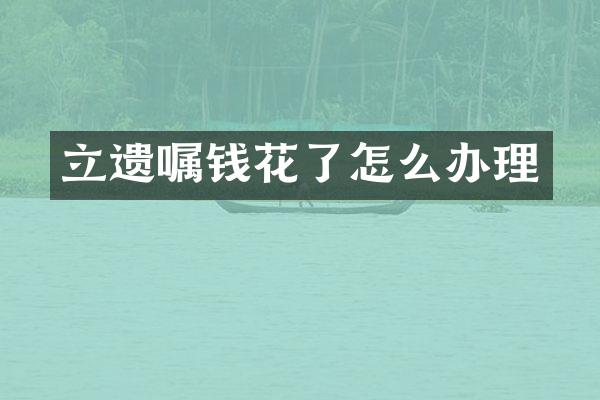 立遗嘱钱花了怎么办理