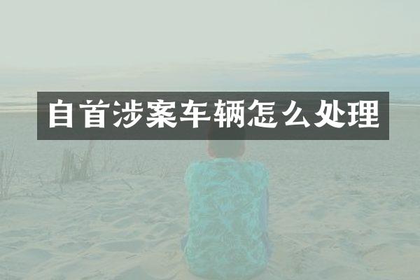 自首涉案车辆怎么处理