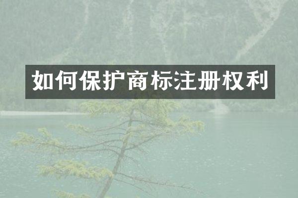 如何保护商标注册权利