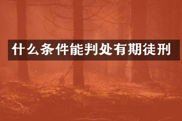 什么条件能判处有期徒刑