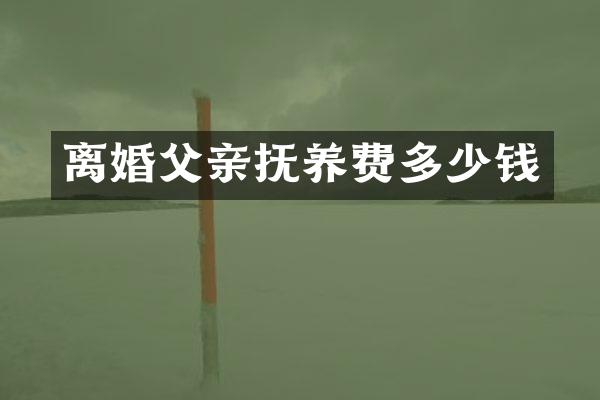 离婚父亲抚养费多少钱