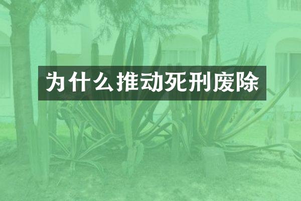 为什么推动死刑废除