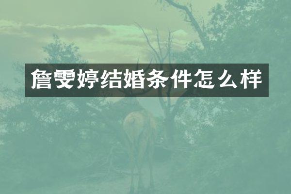 詹雯婷结婚条件怎么样