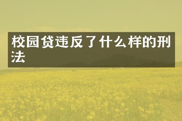 违反了什么样的刑法