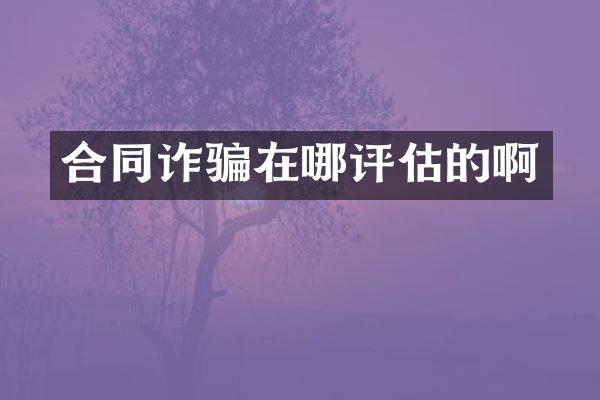 合同诈骗在哪评估的啊