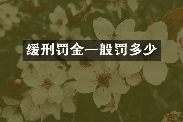 缓刑罚金一般罚多少