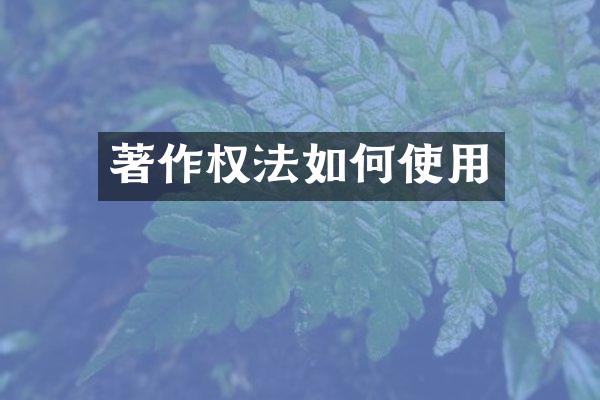 著作权法如何使用