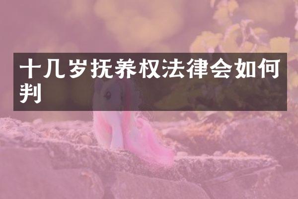 十几岁抚养权法律会如何判