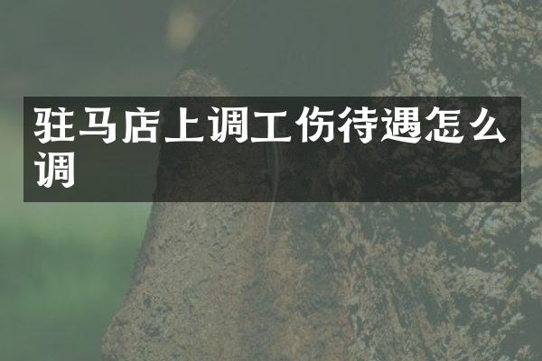 驻马店上调工伤待遇怎么调