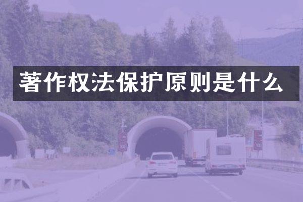 著作权法保护原则是什么