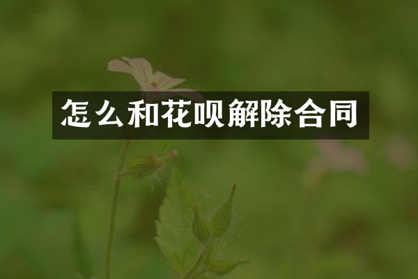 怎么和解除合同