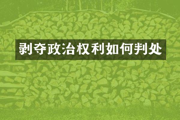 剥夺政治权利如何判处