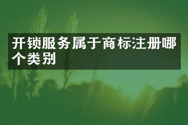 开锁服务属于商标注册哪个类别