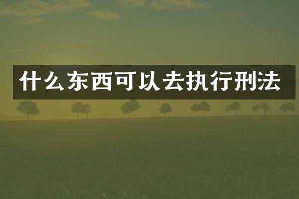 什么东西可以去执行刑法