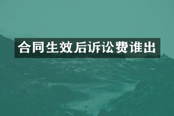 合同生效后诉讼费谁出