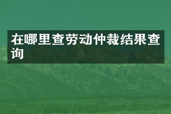 在哪里查劳动仲裁结果查询