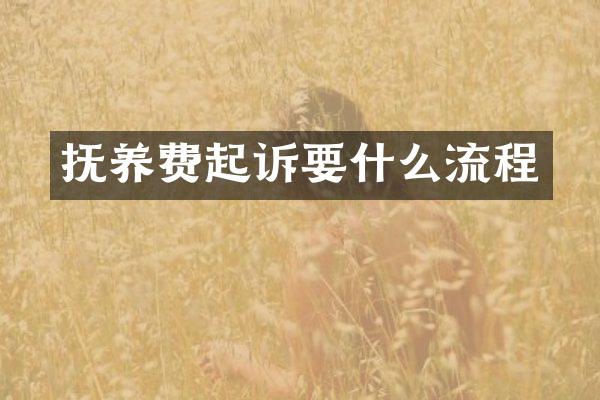 抚养费起诉要什么流程
