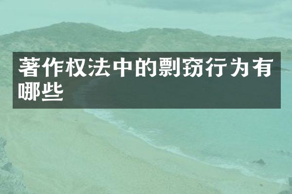 著作权法中的剽窃行为有哪些