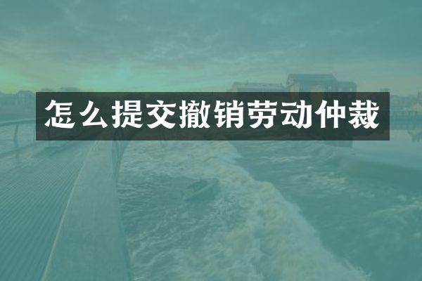 怎么提交撤销劳动仲裁