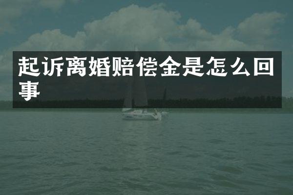 起诉离婚赔偿金是怎么回事