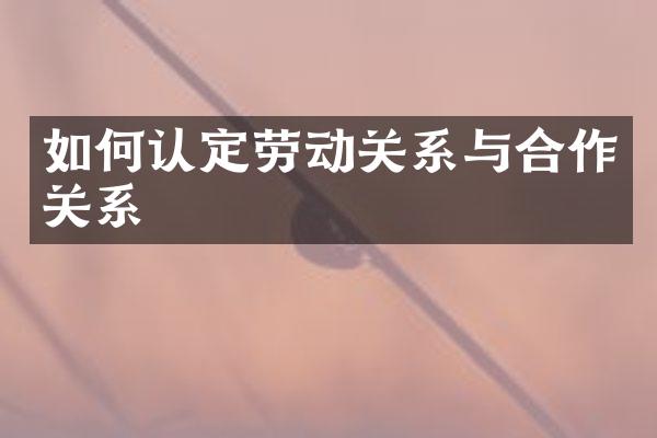 如何认定劳动关系与合作关系