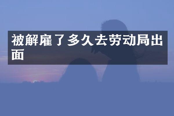 被解雇了多久去劳动局出面