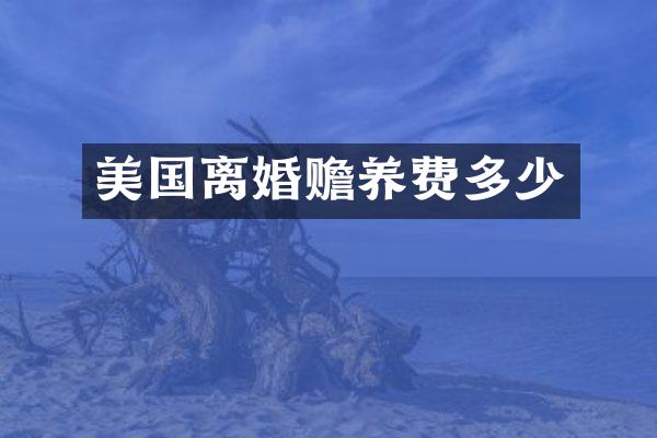 美国离婚赡养费多少