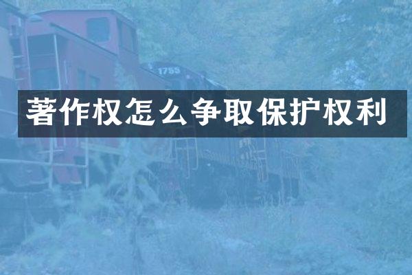 著作权怎么争取保护权利