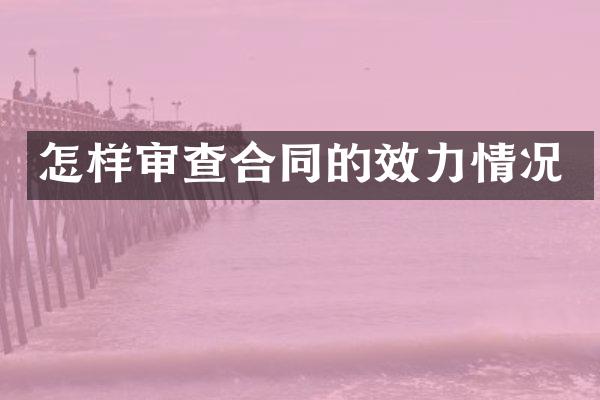 怎样审查合同的效力情况