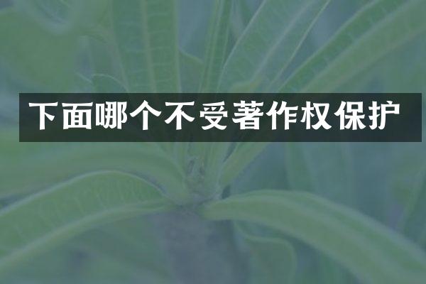 下面哪个不受著作权保护