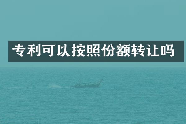 专利可以按照份额转让吗