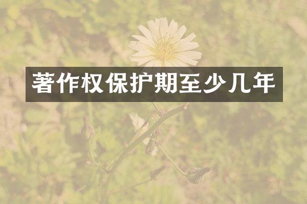 著作权保护期至少几年