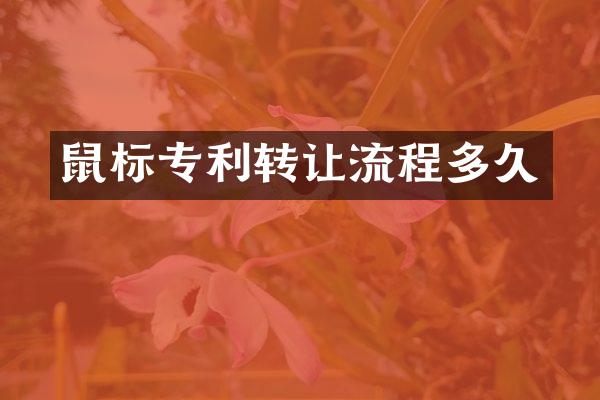 鼠标专利转让流程多久
