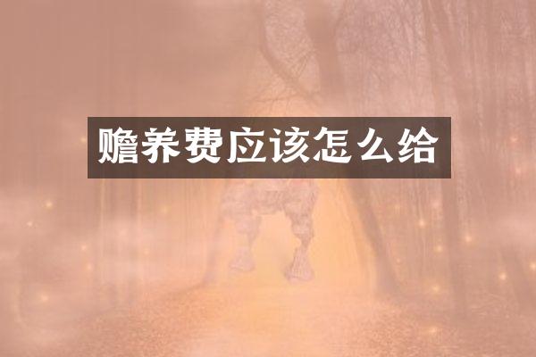 赡养费应该怎么给