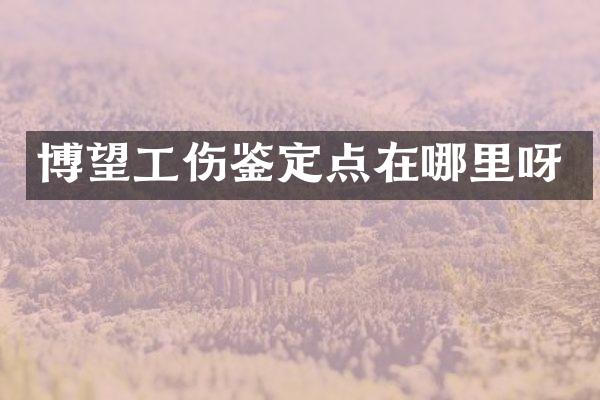 博望工伤鉴定点在哪里呀