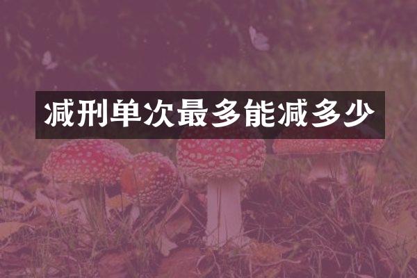 减刑单次最多能减多少