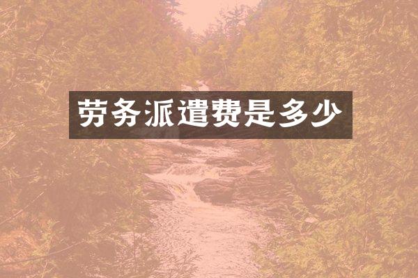 劳务派遣费是多少