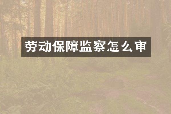 劳动保障监察怎么审