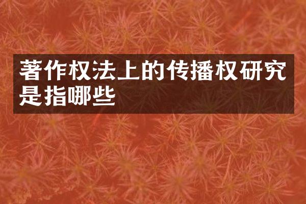 著作权法上的传播权研究是指哪些