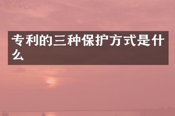 专利的三种保护方式是什么