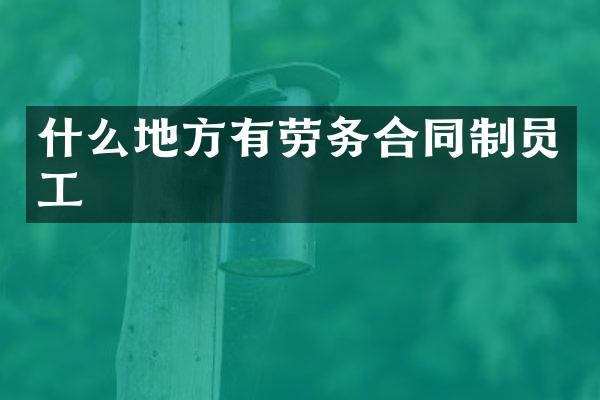 什么地方有劳务合同制员工