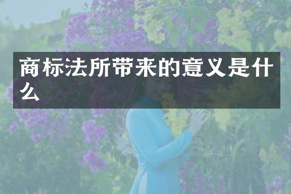 商标法所带来的意义是什么