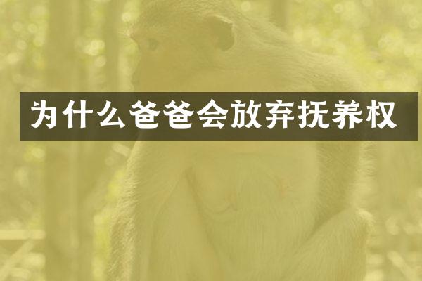 为什么爸爸会放弃抚养权