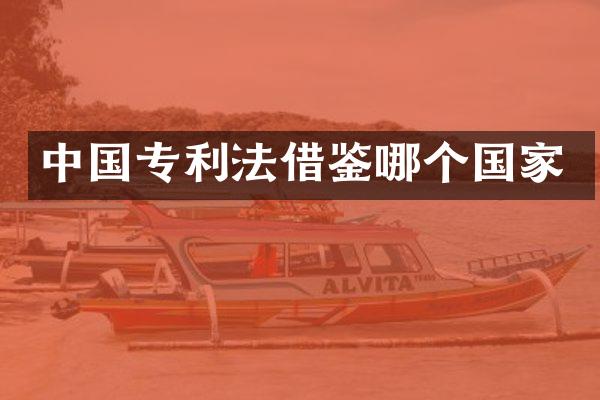 中国专利法借鉴哪个国家