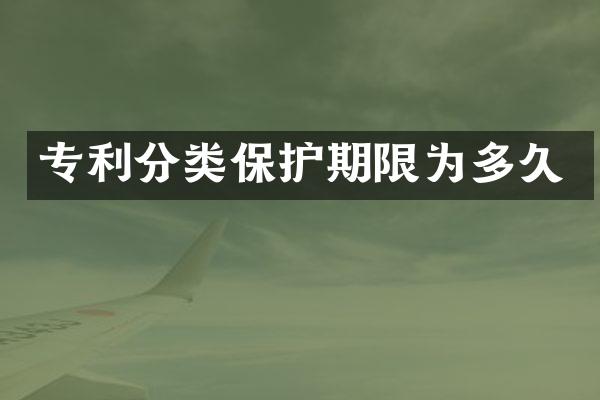 专利分类保护期限为多久